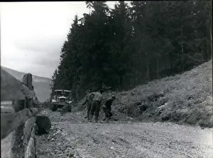 Dams: Austria - Hungary - Romania