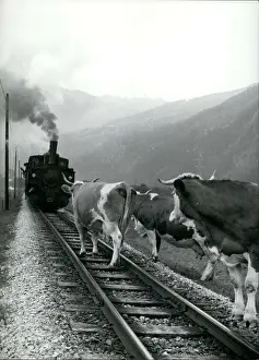 Nearer: Austria - Hungary - Romania