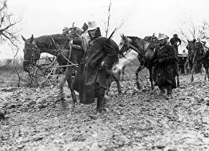 Bridle: Austrian cavalry in Serbia, 1914