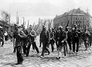 Landsturm: Austrian Landsturm, 1914