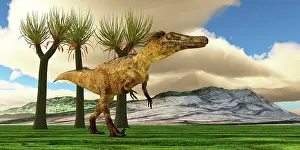 Solitude: Austroraptor was a carnivorous dinosaur that lived