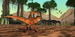 Pteranodon: Austroraptor dinosaurs watch a pair of Amargasaurus