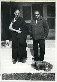Dalai: Author - Book Reviewers - Columnist - Editors