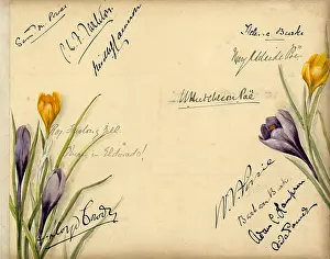 Pirrie: Autographs on card with flowers
