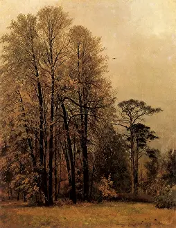 Shishkin: Autumn