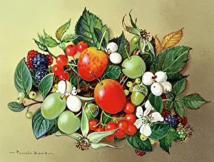 Blackberries: Autumn Berries