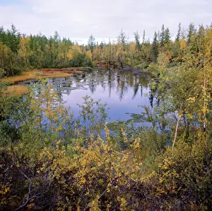 Fill: Autumn colors, 1977
