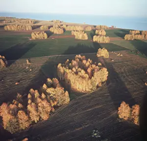 Fill: Autumn colors, 1977