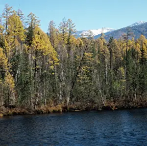 Fill: Autumn colors, 1982