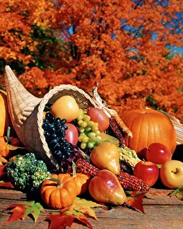 Thankful: Autumn Cornucopia Filled with Fruit