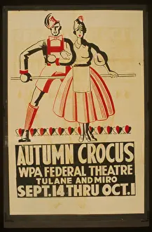 Crocus: Autumn crocus Autumn crocus