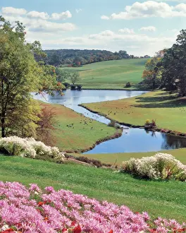 Mid Atlantic: Autumn Crocus in Foreground Winterthur Garden Delaware