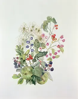 Brambles: Autumn design ??apples, acorns, brambles etc