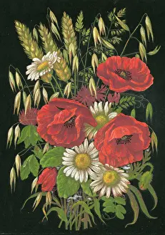 Oats: AUTUMN FLOWERS 1880