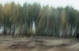Impressions: Autumn Forest, 1992