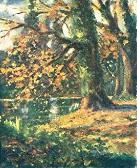 Ickwell: Autumn At Ickwell, Bury