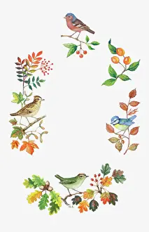 Acorn: Autumn Leaves and Berries with Four Birds
