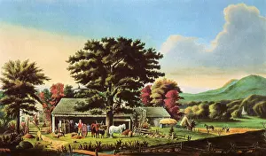 Cider: Autumn in New England