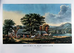 Secluded: Autumn in New England, Cider Making
