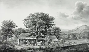 Cider: Autumn in New England: cider making