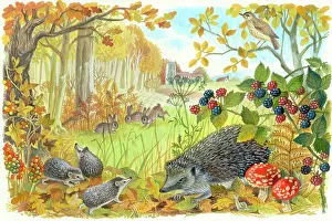 Blackberries: Autumn scene with hedgehog, rabbits etc