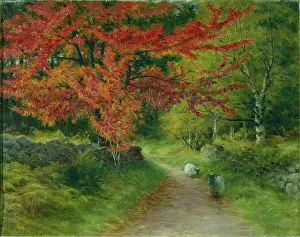 Leaved: Autumn Scene ' with two sheep on a lane