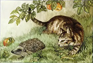 Whitaker: Autumn: Tabby cat and hedgehog