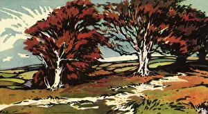 Whips: Autumn Wind