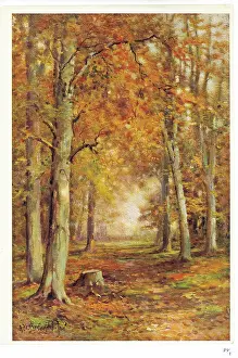 Breanski: Autumn Woodland