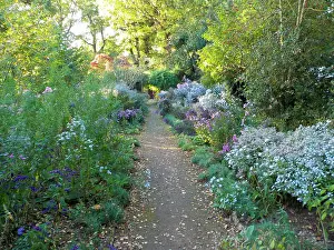 Autumnal Borders at Munstead Wood