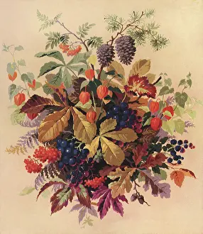 Bunches: Autumnal Design