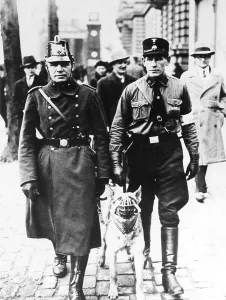 Maintain: Auxiliary policeman of the Sturmabteilung, Germany