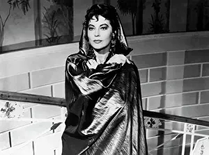 Maja: Ava Gardner - Actress - Hollywood
