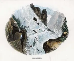 Avalanche: AVALANCHE 1860