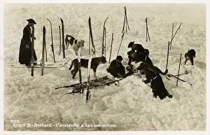 Piste: Avalanche victim aided by St Bernards