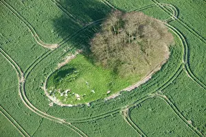 Barrows: Avebury Down, Wiltshire