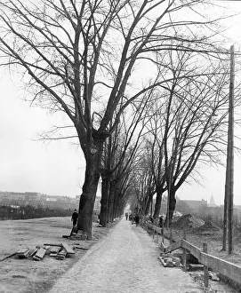 Railing: Avenue in Berlin-Tempelhof, 1929