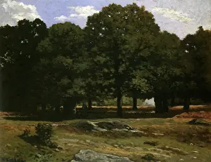 Forested: Avenue of Chestnut Trees at La Celle-Saint-Cloud, by Sisley