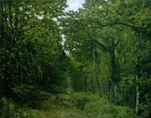 Celle: Avenue of Chestnut Trees near La Celle-St-Cloud, by Sisley