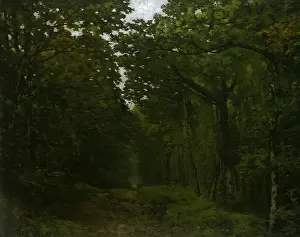 Celle: Avenue of Chestnut Trees near La Celle-St-Cloud, by Sisley
