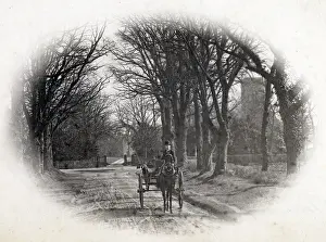 Gillingham: An Avenue, Gillingham, Suffolk