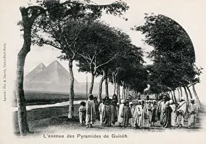 Pyramids: Avenue to the Pyramids of Giza, Egypt