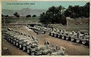 Sphinxes: Avenue of ram-headed sphinxes, Temple of Amun, Egypt