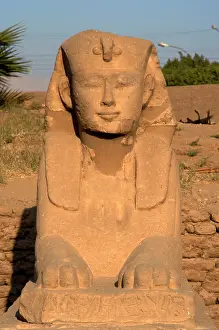 Waset: Avenue of the sphinx. Luxor