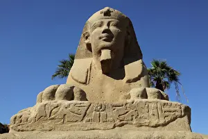 Sphinxes: Avenue of the Sphinxes, Luxor Temple, Luxor, Egypt