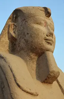 Sphinxes: Avenue of the Sphinxes, Luxor Temple, Luxor, Egypt