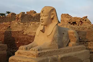 Sphinxes: Avenue of the Sphinxes, Luxor Temple, Luxor, Egypt