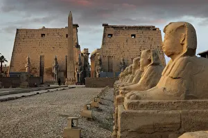 Sphinxes: Avenue of the Sphinxes, Luxor Temple, Luxor, Egypt