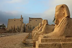 Sphinxes: Avenue of the Sphinxes, Luxor Temple, Luxor, Egypt