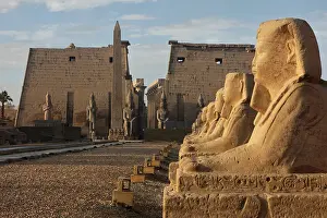 Sphinxes: Avenue of the Sphinxes, Luxor Temple, Luxor, Egypt